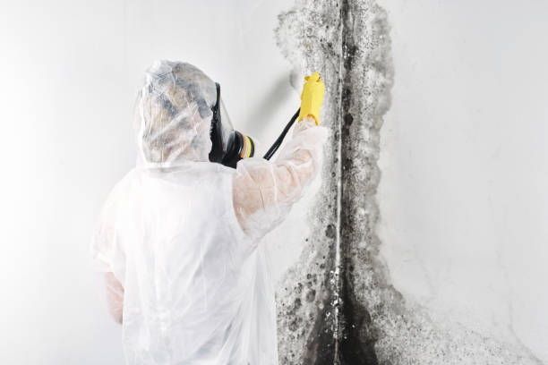 Water damage restoration experts in Sheridan, IL